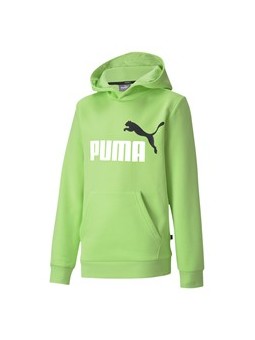 SUDADERA ESSENTIALS 2 COL HOODY SHARP GREEN