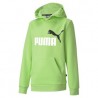 SUDADERA ESSENTIALS 2 COL HOODY SHARP GREEN