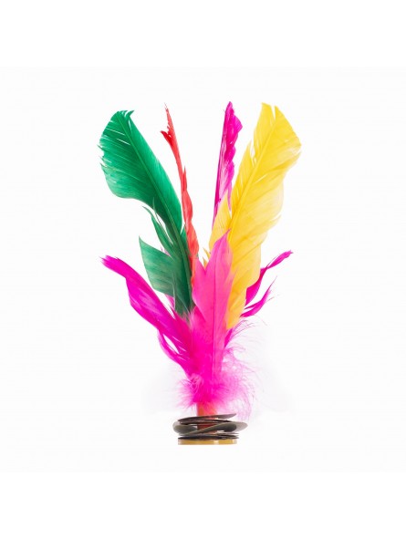 Lote 6 indiakas fútbol pluma multicolor