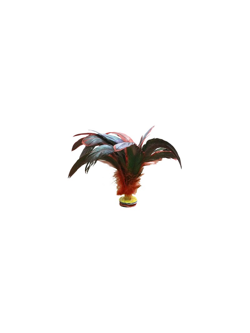 Lote 6 indiakas fútbol pluma dark