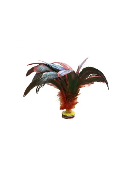 Lote 6 indiakas fútbol pluma dark