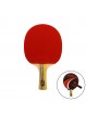 Raqueta tenis de mesa softee 'p300'