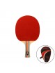 Raqueta tenis de mesa softee 'p500'