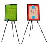 Kit entrenador softee coach