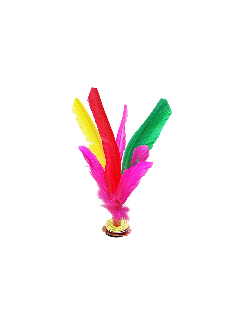 Lote 5 indiakas fútbol pluma 21cm