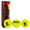Bote 3 pelotas padel softee speed pro