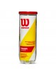Bote 3 pelotas tenis wilson "championship xd"