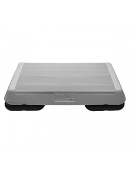 Ministep profesional