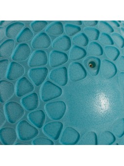 Pelota softee sensorial net