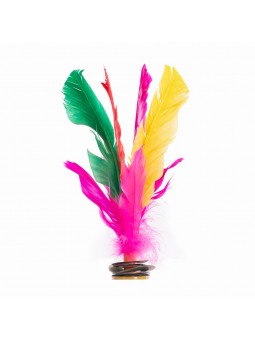 Lote 6 indiakas fútbol pluma multicolor