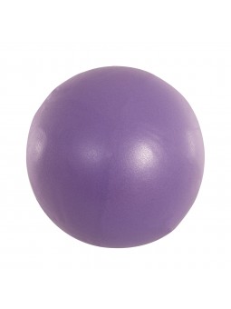 Pelota pilates light