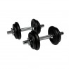 Kit mancuerna 20kg