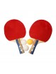 Juego raquetas de tenis de mesa con 3 pelotas softee saturn