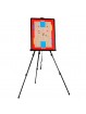 Kit entrenador softee coach