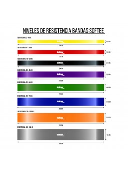 Banda de resistencia