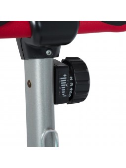 Bicicleta 1300