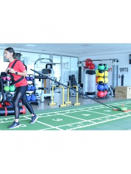 Trineo entrenamiento