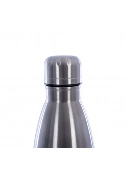 Botella térmica ionic
