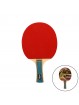 Raqueta tenis de mesa softee p050