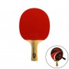 Raqueta tenis de mesa softee p300