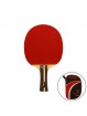 Raqueta tenis de mesa softee p700