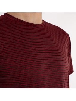 Camiseta softee experience