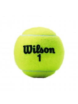 Bote 3 pelotas tenis wilson championship xd