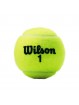 Bote 3 pelotas tenis wilson championship xd