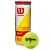 Bote 3 pelotas tenis wilson championship xd