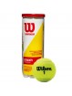 Bote 3 pelotas tenis wilson championship xd