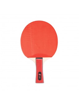 Pala ping-pong eqsi