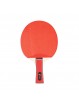 Pala ping-pong eqsi