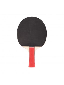 Pala ping-pong eqsi