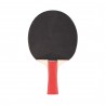 Pala ping-pong eqsi