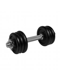 Kit mancuerna 10kg